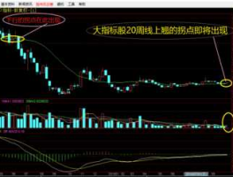 什么是指标股，什么是大盘指标股？