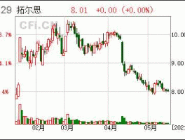 300229拓尔思，300229拓尔思主营业务？