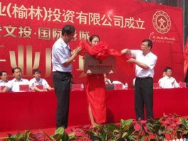 文化旅游投资 榆林市文投属于什么企业？