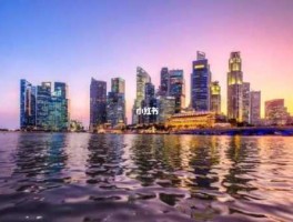 去一趟新加坡大约多少钱，去新加坡劳务情侣可以一起住么房费大概多少钱每月？