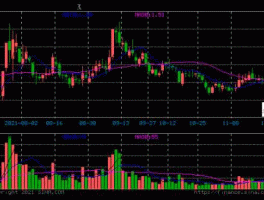 搜于特股票（搜于特退市不设整理期是什么原因？）
