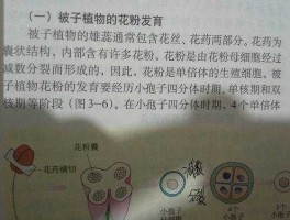 aaabbbccc 几倍体是什么意思？