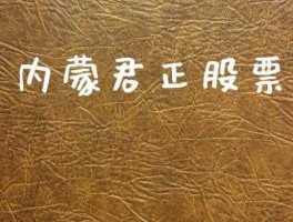 内蒙君正股票，内蒙君正是做什么的？