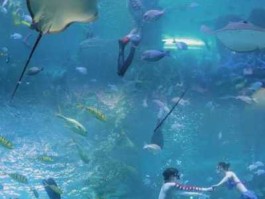 泉州靓车堡，泉州欧乐堡飞行影院观影时间？