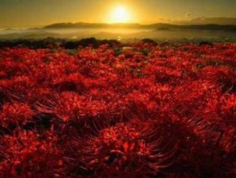 中国科技金书网 深空彼岸故事背景？