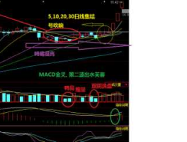 000599（000599每天换手率都很高说明什么问题？）