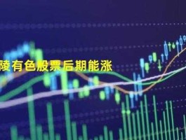 股市上涨是什么颜色（股市上涨是什么颜色表示）