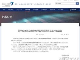 600260股票，山东航空被哪家公司控股？