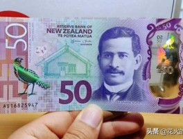 1新西兰币等于多少美元(一新西兰元等于多少人民币)