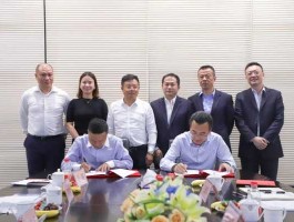 宏源证券股份有限公司（申万宏源主要从事？）