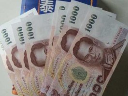 2万泰铢多少钱（泰国落地签带1万还是2万泰铢？）