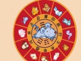 2020年是什么年(2020年是什么年庚)