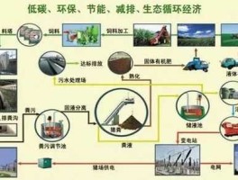 生态农业模式 生态农业模式有哪些？