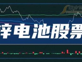 002256股票？锌离子电池厂家排名？