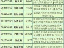 新能源板块龙头股 新能源汽车十大潜力股？
