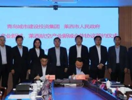 城投控股股票，宝鸡城投公司属于什么单位？