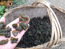 地皮（四川话地皮是什么意思？）