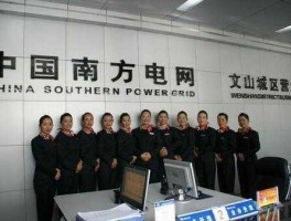 文山电力600995？中电国际有哪些子公司？