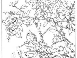 工笔画白描（想学国画原稿很小如何放大原稿？）