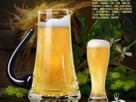 啤？啤东是什么？