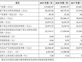 300894（2020年12月有哪些公司上市？）