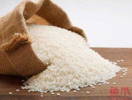 300092，大米注册商标属于哪一类？