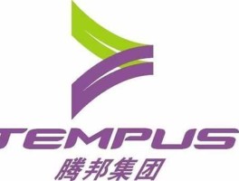 腾邦，腾邦控股和腾邦国际？