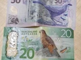 二十新西兰币等于多少人民币(3020新西兰币)