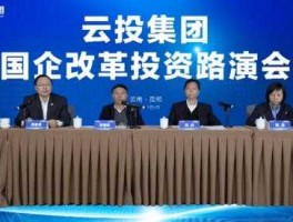 云投汇（云投集团业务范围？）