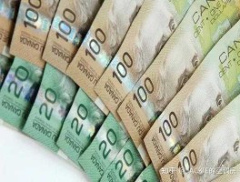 怎么换加币最便宜 加拿大公交车票怎么买便宜？