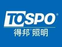 得邦，得邦灯怎么配网？