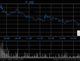 300087，什么是荃银高科（300087）？