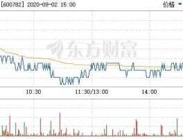 新钢股份股票（b股有哪些公司？）