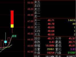 603955大千生态股票（大千生态上市）