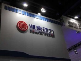 潍柴动力股票，潍柴重机和潍柴动力哪个好？