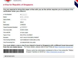 新加坡签证办理（山东新加坡签证办理）