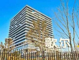 歌尔股份（歌尔股份崛起的故事？）