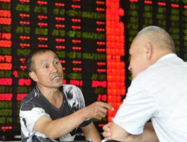 股市散客（股市里散户能赚钱吗）