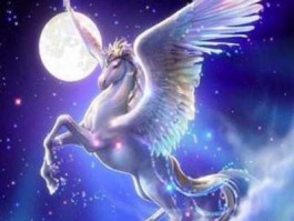 独角兽概念 独角兽定义？