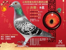 太阳鸟公棚秋棚大棚（太阳鸟赛鸽公棚秋棚收费）