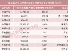 证金持股一览表（中央汇金持股一览表2023）