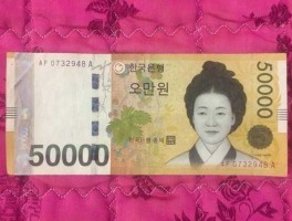 500万韩元在韩国能买什么(500万韩元在韩国能买什么东西)