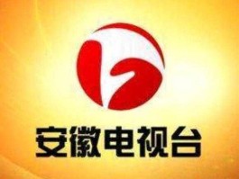 安徽卫视同步直播，安徽第一时间节目是地方台吗？