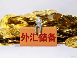 为啥要储备外汇(为什么外汇储备水平不是越高越好,而是必须适度)