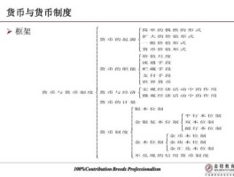 货币的主体，以货币计量为基本形式是指？