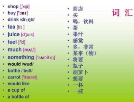 tl是什么货币（bottle翻译成汉语是什么意思？）