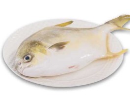 600275，st昌鱼是国企吗？