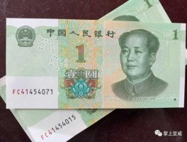 2022停止发行一元纸币 第五版人民币一元有几种？