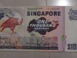 新加坡1000元多少人民币（新加坡1千新币是多少人民币）
