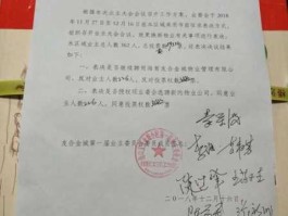 代理投票 代理见证是什么意思？